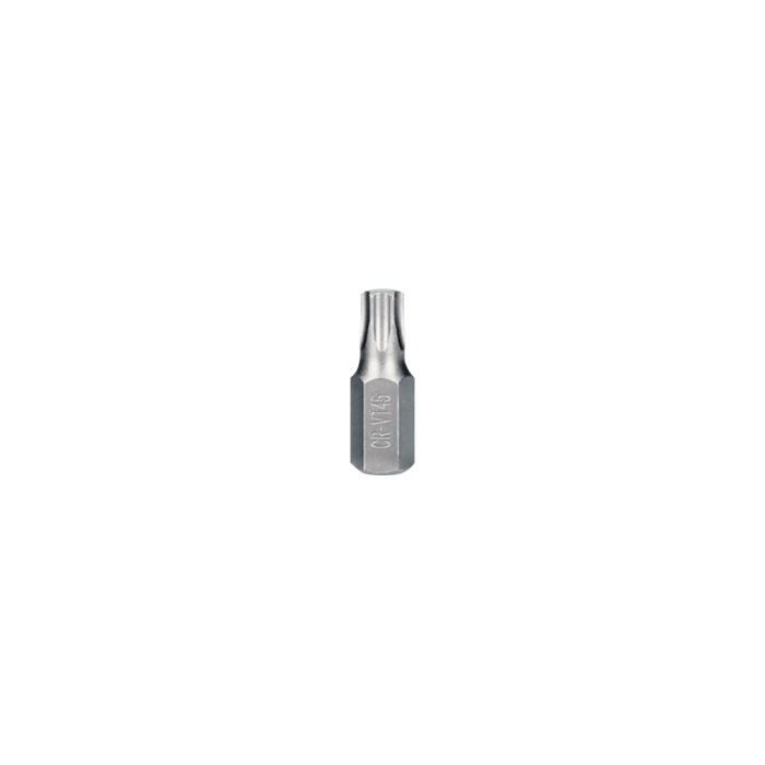 Torx Uçlu Bits Uçlar