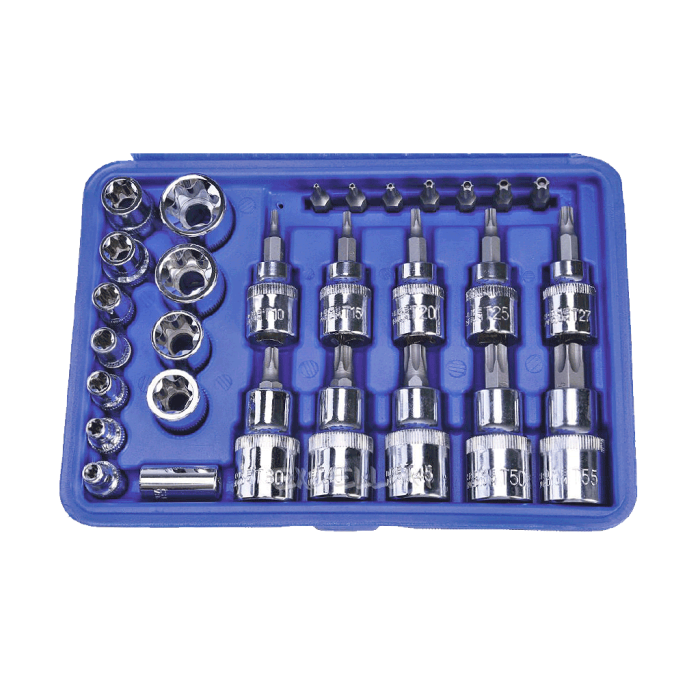29 Parça CRV S2 Torx Lokma ve Bit Seti