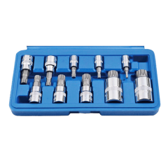 10 Parça  CR-V M Tipi Torx Lokma Seti